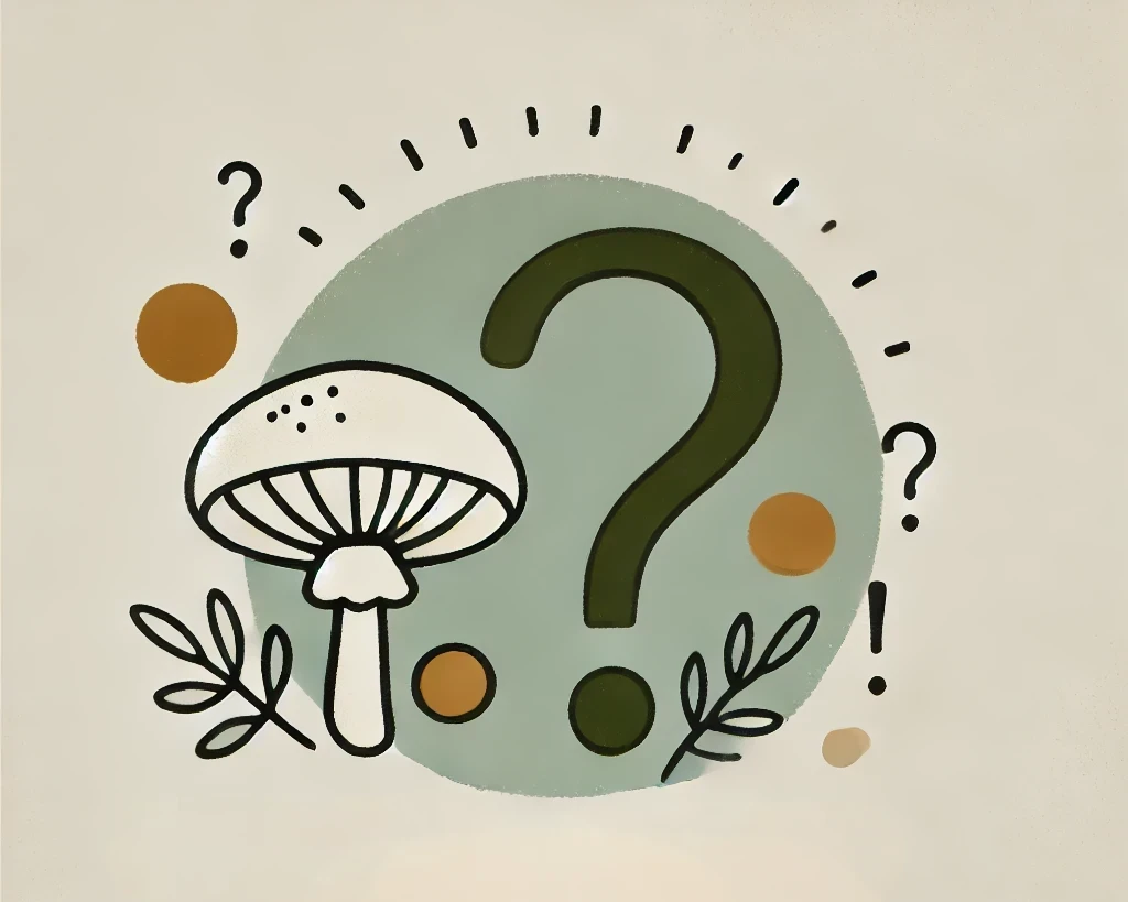 Lion’s Mane: Warum der Igelstachelbart der Trendpilz 2025 ist
