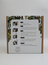 Zitronenseitling Fertigkultur in der Myko-Box