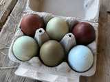 Naturbunter Eier-Mix vom GackerAcker