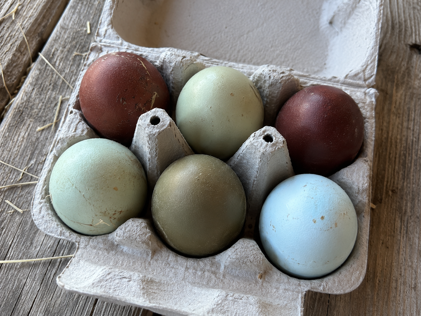 Naturbunter Eier-Mix vom GackerAcker